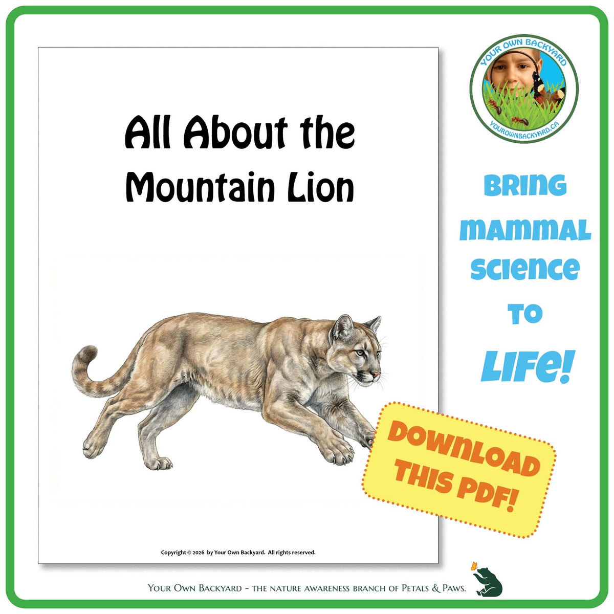 Product image for downloadable PDF, 'All About Mammals - the Mountain Goat', an elementary-level unit study product by Your Own Backyard | Petals & Paws.
