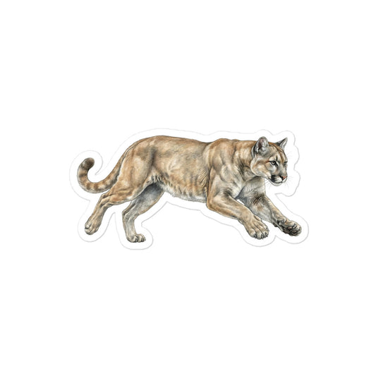 Product mockup of a realistic, illustrated mountain lion kiss-cut sticker.