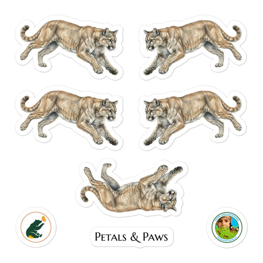 Product mockup of a sheet of five 2.5" wide Mountain Lion kiss-cut stickers. This sheet features five realistic, illustrated mountain lion stickers, along with Petals & Paws and Your Own Backyard logo stickers.
