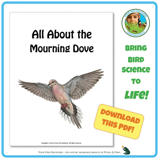 Product image for downloadable PDF, 'All About Birds - the Mourning Dove', an elementary-level unit study product by Your Own Backyard | Petals & Paws.