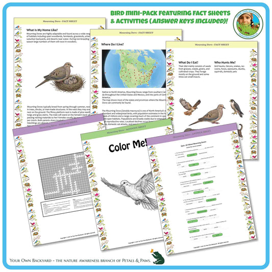 Internal pages of, 'All About Birds - the Mourning Dove' downloadable PDF product, an elementary-level unit by Your Own Backyard | Petals & Paws. Pages include natural history fact sheets and various printable worksheets.