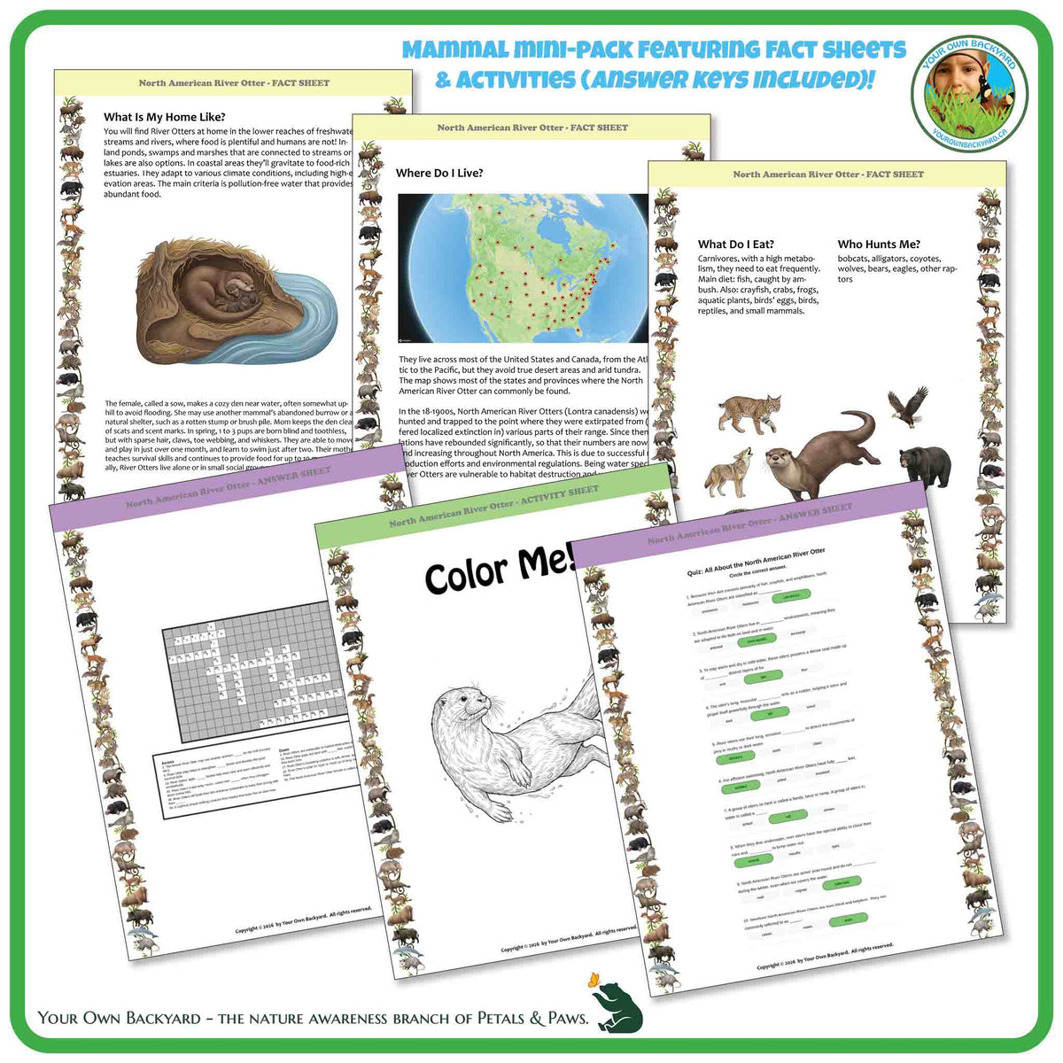 Internal pages of, 'All About Mammals - the North American River Otter' downloadable PDF product, an elementary-level unit by Your Own Backyard | Petals & Paws. Pages include natural history fact sheets and various printable worksheets.