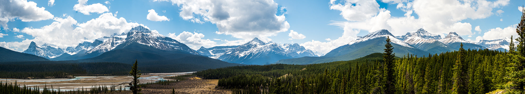 Panoramic view of an Alberta mountain landscape with the North Saskatchewan River surrounded by trees and a bright, blue sky