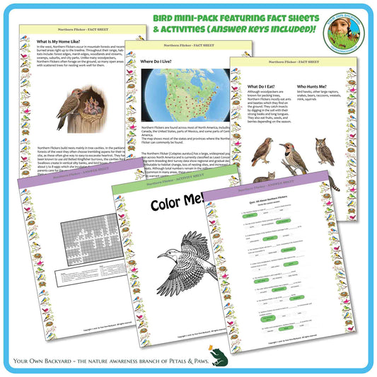 Internal pages of, 'All About Birds - the Northern Flicker' downloadable PDF product, an elementary-level unit by Your Own Backyard | Petals & Paws. Pages include natural history fact sheets and various printable worksheets.