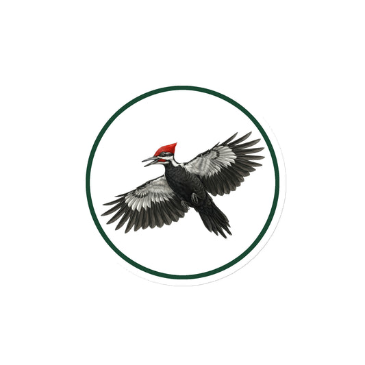 Product mock-up of the die-cut, 4x4 inch Pileated Woodpecker Circular Magnet.  The flying bird is enclosed in a green circle with white background.