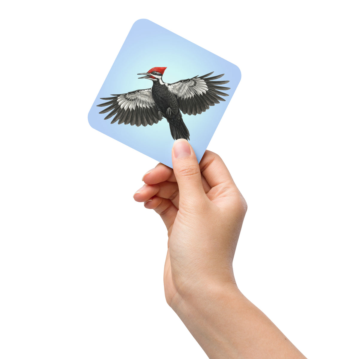 Product mockup of Pileated Woodpecker Coaster being held up by a woman's hand against a white background. Design is a woodpecker is flying against a clear blue sky.