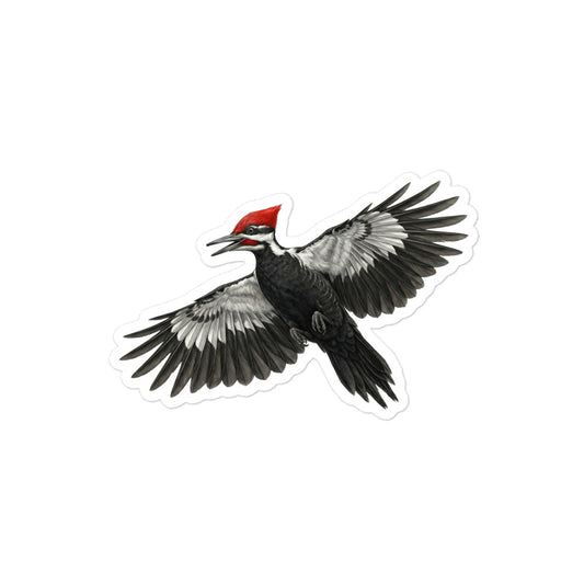 Product mockup of realistic, illustrated Pileated Woodpecker kiss-cut sticker.
