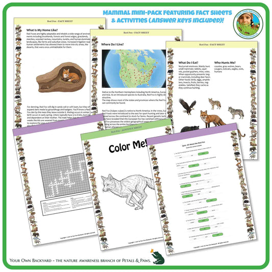 Internal pages of, 'All About Mammals - the Red Fox' downloadable PDF product, an elementary-level unit by Your Own Backyard | Petals & Paws. Pages include natural history fact sheets and various printable worksheets.