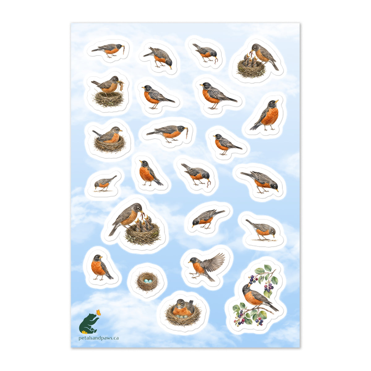 A glossy wildlife sticker sheet showing robins in various nesting and foraging stages against a blue & white sky, ideal for travel journals, envelopes, and outdoor adventure scrapbooks | Petals & Paws