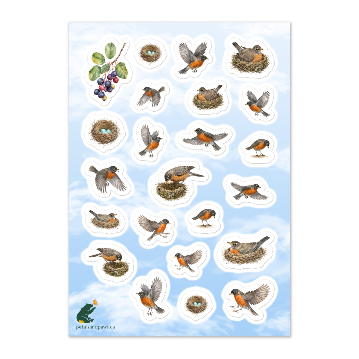 A glossy wildlife sticker sheet showing robins in various nesting and flying poses against a blue & white sky, ideal for travel journals, envelopes, and outdoor adventure scrapbooks | Petals & Paws
