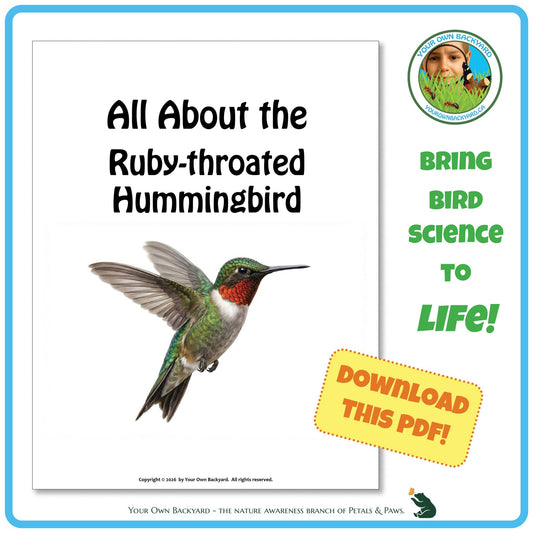 Product image for downloadable PDF, 'All About Birds - the Ruby-throated Hummingbird', an elementary-level unit study product by Your Own Backyard | Petals & Paws.