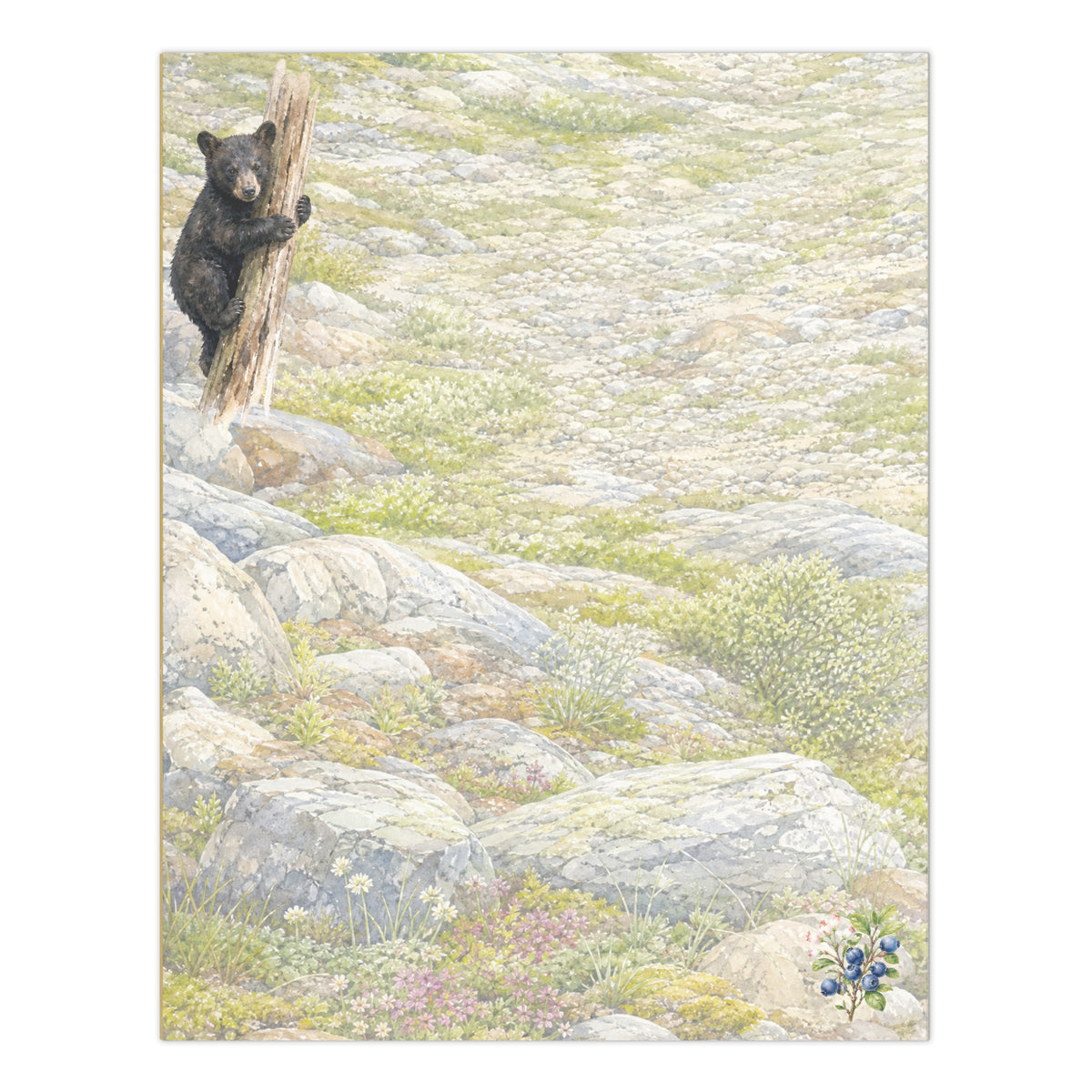 Scrappy Cub large notepad, 8.5″ × 11″ (21.6 cm × 27.9 cm).  Overall design of Rocky Mountain Icefields terrain with bear cub clinging to snag in upper left corner.