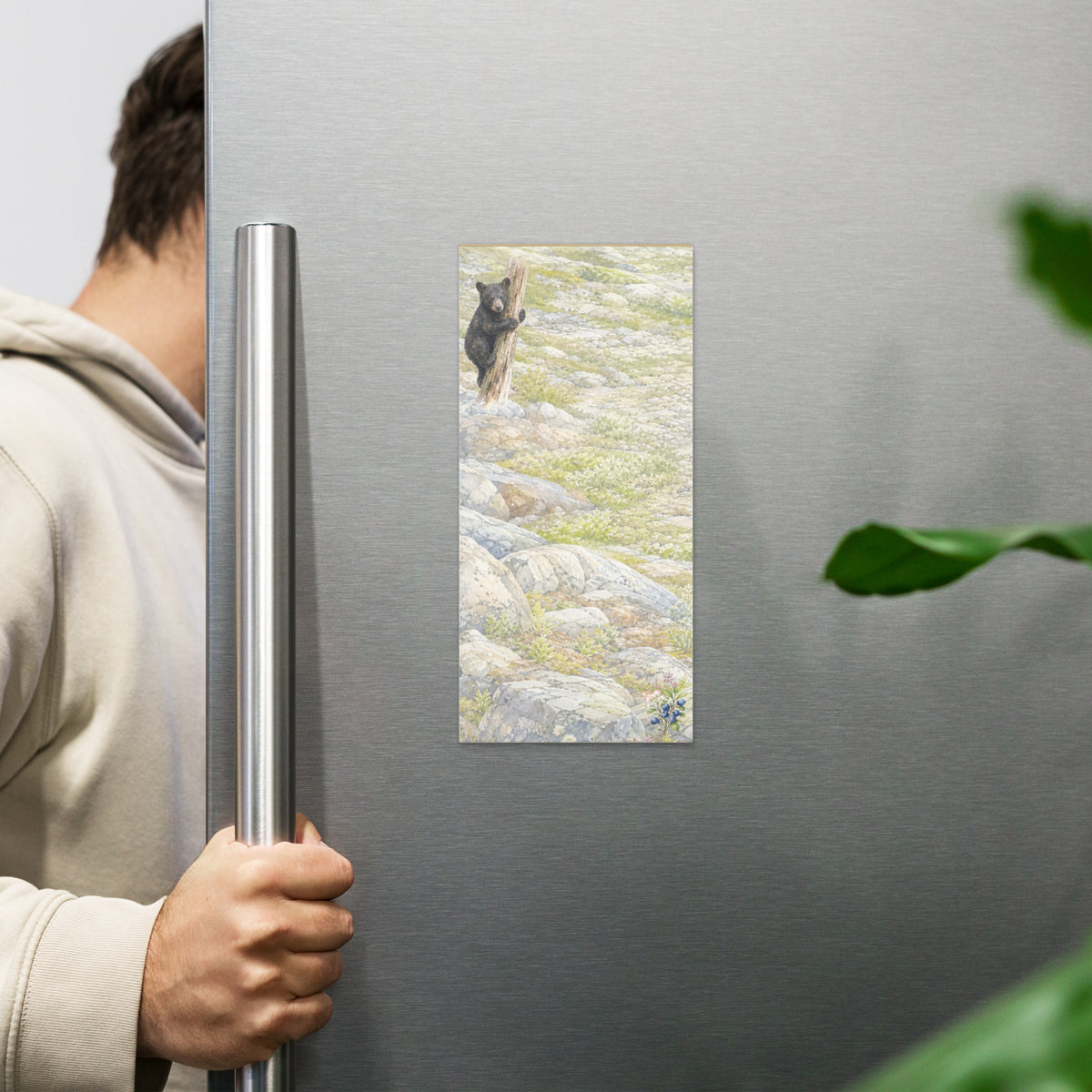 Scrappy Cub magnetic notepad, 4.25″ × 9″ (10.8 cm × 22.9 cm) displayed on fridge.  Overall design of Rocky Mountain Icefields terrain with bear cub clinging to snag in upper left corner.