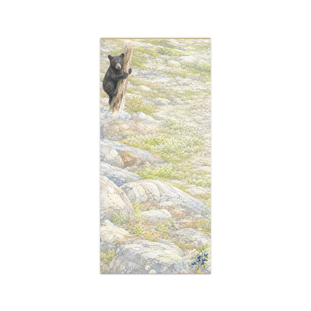 Scrappy Cub magnetic notepad, 4.25″ × 9″ (10.8 cm × 22.9 cm).  Overall design of Rocky Mountain Icefields terrain with a bear cub clinging to a snag in the upper left corner.