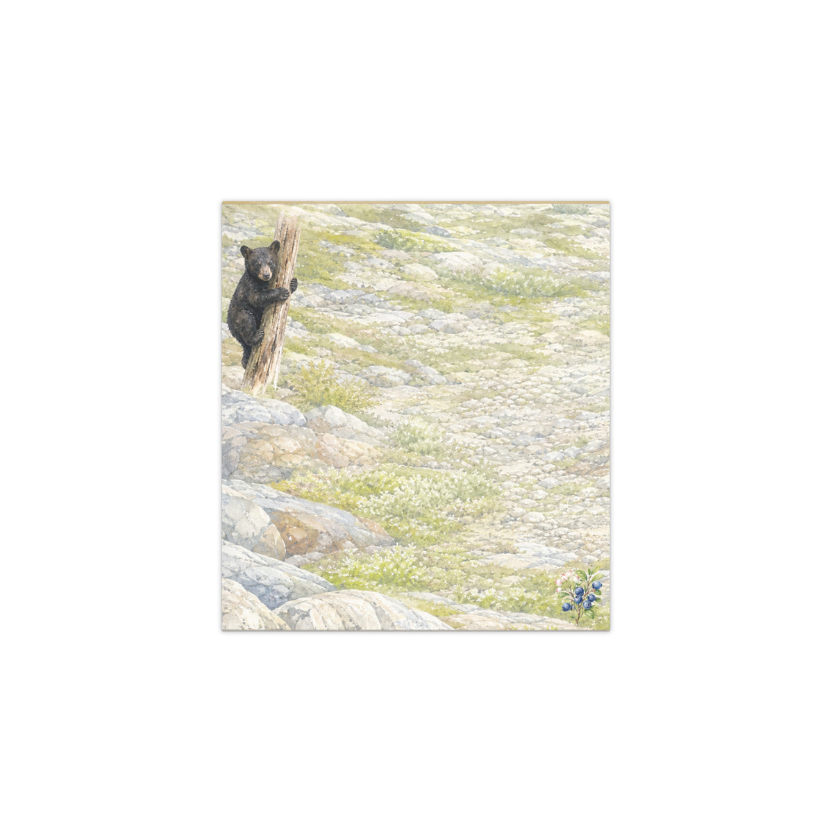 Scrappy Cub small notepad, 5.5″ × 6″ (14 cm × 15 cm).  Overall design of Rocky Mountain Icefields terrain with a bear cub clinging to a snag in the upper left corner.