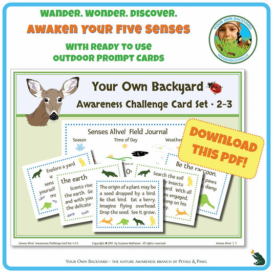 Product cover for ready-to-use Senses Alive! Five Senses Awareness Card Set 2-3. Image has product info and inspiration above with Your Own Backyard logo to the right. Main area is the products cover image, including an array of cards and a field journal template. Stamped call out, "Download This PDF." with "Your Own Backyard - The Nature Awareness Branch of Petals & Paws" running along the bottom.