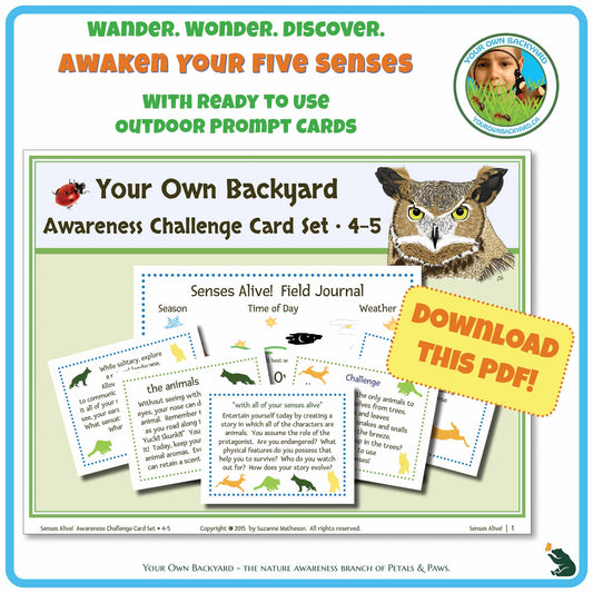Product cover for ready-to-use Senses Alive! Five Senses Awareness Card Set 4-5. Image has product info and inspiration above with Your Own Backyard logo to the right. Main area is the products cover image, including an array of cards and a field journal template. Stamped call out, "Download This PDF." with "Your Own Backyard - The Nature Awareness Branch of Petals & Paws" running along the bottom.