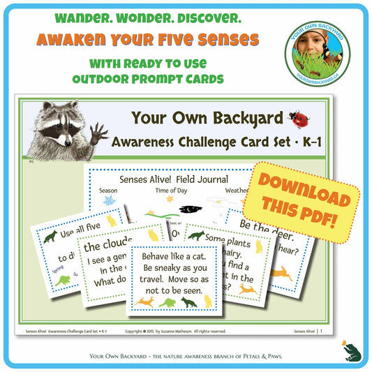 Product cover for ready-to-use Senses Alive! Five Senses Awareness Card Set K-1. Image has product info and inspiration above with Your Own Backyard logo to the right. Main area is the products cover image, including an array of cards and a field journal template. Stamped call out, "Download This PDF." with "Your Own Backyard - The Nature Awareness Branch of Petals & Paws" running along the bottom.