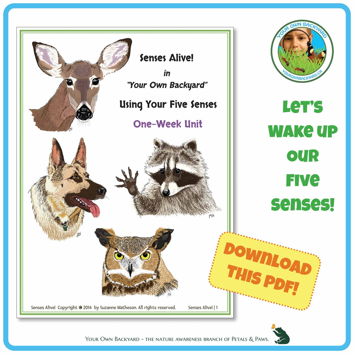 Product cover for one-week unit study, Senses Alive!  Using Your Five Senses. Product cover, featuring the four animal guides fills the left side, with Your Own Backyard logo in the top right, sidebar text below this, and call-out, "Download This PDF!" further down. "Your Own Backyard - The Nature Awareness Branch of Petals & Paws" runs along the bottom.