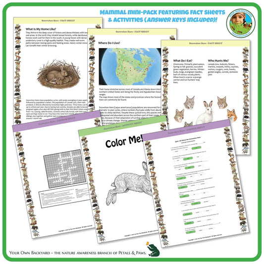 Internal pages of, 'All About Mammals - the Snowshoe Hare' downloadable PDF product, an elementary-level unit by Your Own Backyard | Petals & Paws. Pages include natural history fact sheets and various printable worksheets.