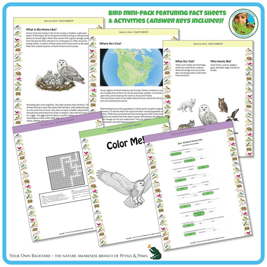 Internal pages of, 'All About Birds - the Snowy Owl' downloadable PDF product, an elementary-level unit by Your Own Backyard | Petals & Paws. Pages include natural history fact sheets and various printable worksheets.