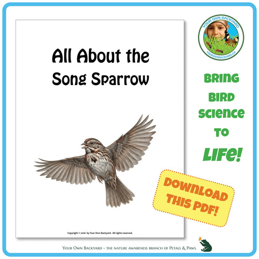 Product image for downloadable PDF, 'All About Birds - the Song Sparrow', an elementary-level unit study product by Your Own Backyard | Petals & Paws.