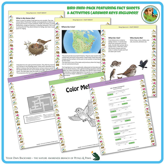 Internal pages of, 'All About Birds - the Song Sparrow' downloadable PDF product, an elementary-level unit by Your Own Backyard | Petals & Paws. Pages include natural history fact sheets and various printable worksheets.