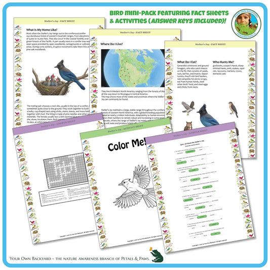 Internal pages of, 'All About Birds - the Stellar's Jay' downloadable PDF product, an elementary-level unit by Your Own Backyard | Petals & Paws. Pages include natural history fact sheets and various printable worksheets.