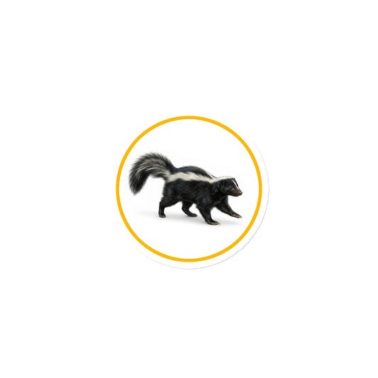 Product mockup of Striped Skunk Circular Magnet, a 3" die-cut magnet featuring a realistic skunk within a yellow circle.
