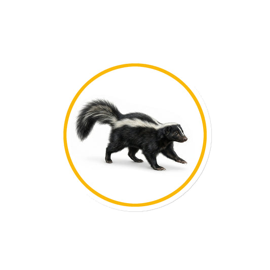 Product mockup of Striped Skunk Circular Magnet, a 4" die-cut magnet featuring a realistic skunk within a yellow circle.