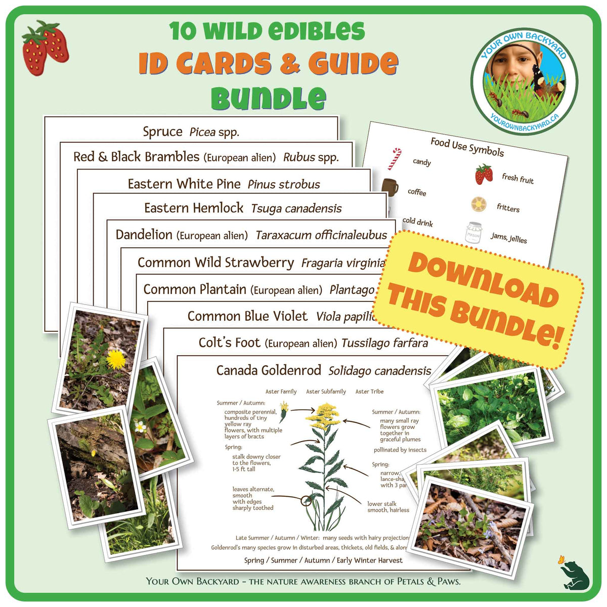 The cover image of Ten Wild Edibles ID Cards & Guide Bundle product. Image has product info above, shows the ten plant names and content in each plant guide, includes photos of each plant, and indicates "Download This PDF." "Your Own Backyard - The Nature Awareness Branch of Petals & Paws" runs along the bottom.