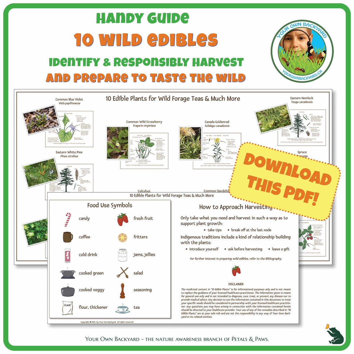 Ten Wild Edibles Plant Guide is a handy pdf download and printable for identifying, responsibly harvesting and preparing ten common North American plants. Image has product info above, shows the cover, food symbols and harvest instructions below, indicates "Download This PDF", and "Your Own Backyard - The Nature Awareness Branch of Petals & Paws" runs along the bottom.