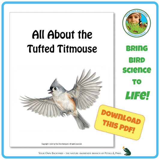 Product image for downloadable PDF, 'All About Birds - the Tufted Titmouse', an elementary-level unit study product by Your Own Backyard | Petals & Paws.