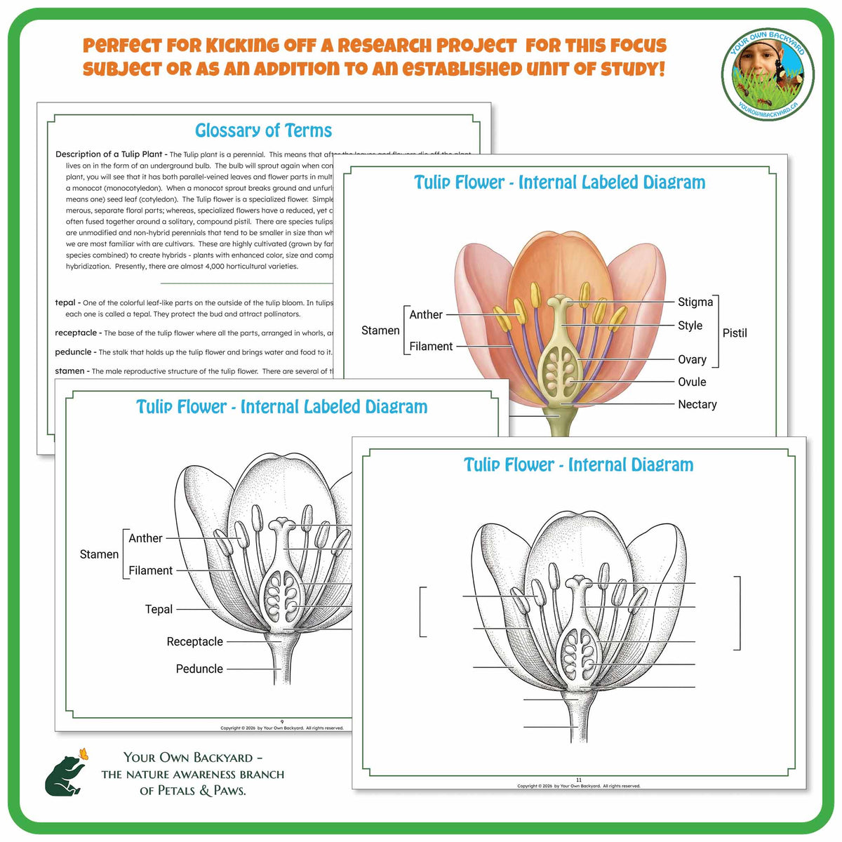 "Perfect for" text at the top to help teachers with how-to-use.  Your Own Backyard logo in the top right corner. Sample pages of glossary and label key and non-labeled diagrams. "Your Own Backyard - The Nature Awareness Branch of Petals & Paws" in the bottom left corner.