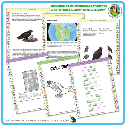 Internal pages of, 'All About Birds - the Turkey Vulture' downloadable PDF product, an elementary-level unit by Your Own Backyard | Petals & Paws. Pages include natural history fact sheets and various printable worksheets.