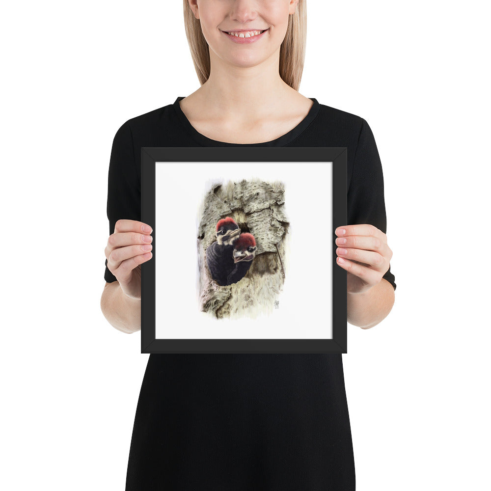 Person holding 10x10 inch black framed print of Two at the Door illustration of Pileated Woodpeckers to show relative size. Illustrated by Suzanne Matheson, 2017.