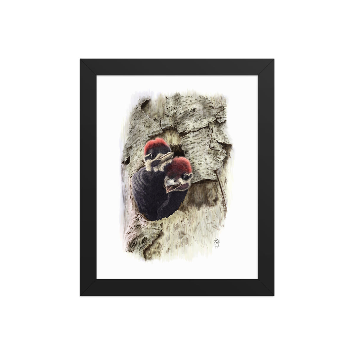 Black framed print of Two at the Door, depicting two nestling Pileated Woodpeckers crowding at their nest cavity entrance.  Illustrated by Suzanne Matheson, 2017.
