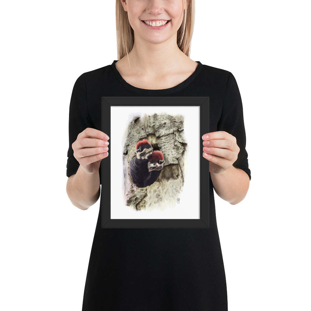 Person holding 8x10 inch black framed print of Two at the Door illustration of Pileated Woodpeckers to show relative size. Illustrated by Suzanne Matheson, 2017.