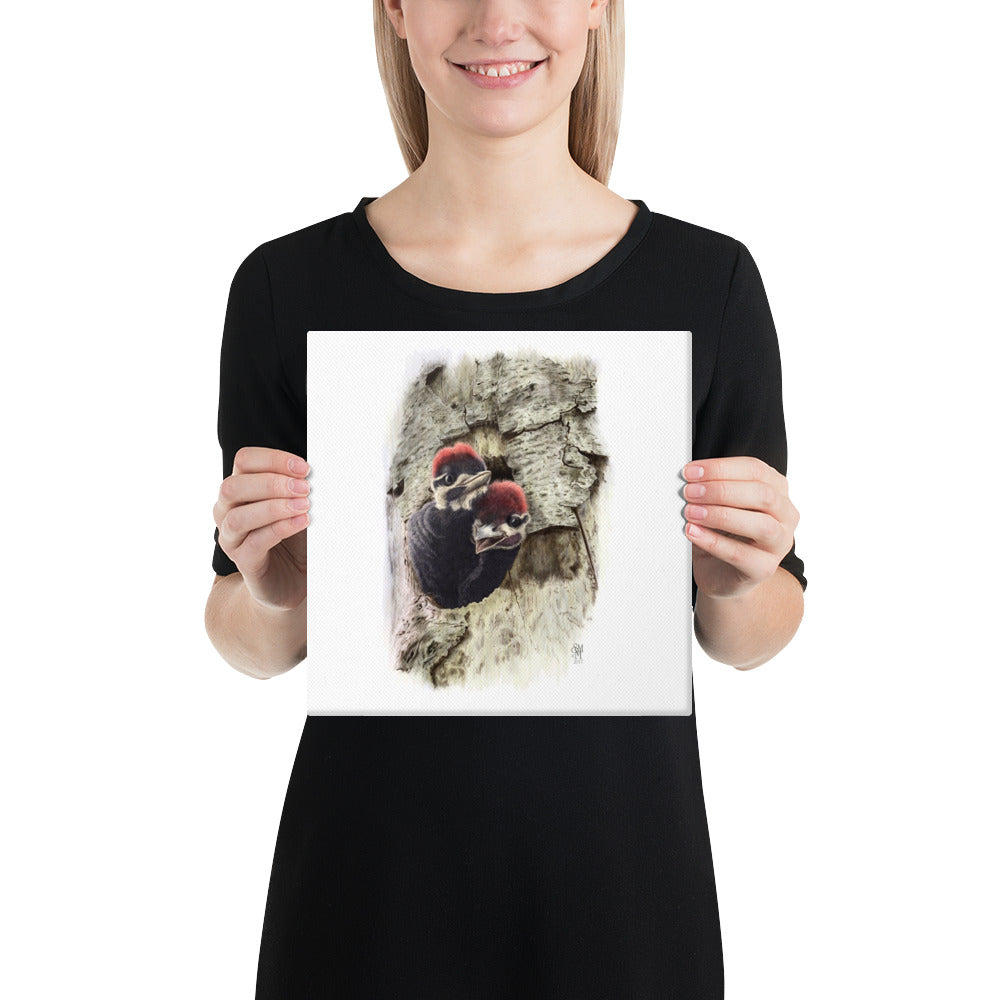 Person holding 10x10 inch gallery-wrapped canvas of Two at the Door illustration of Pileated Woodpeckers to show relative size. Illustrated by Suzanne Matheson, 2017.