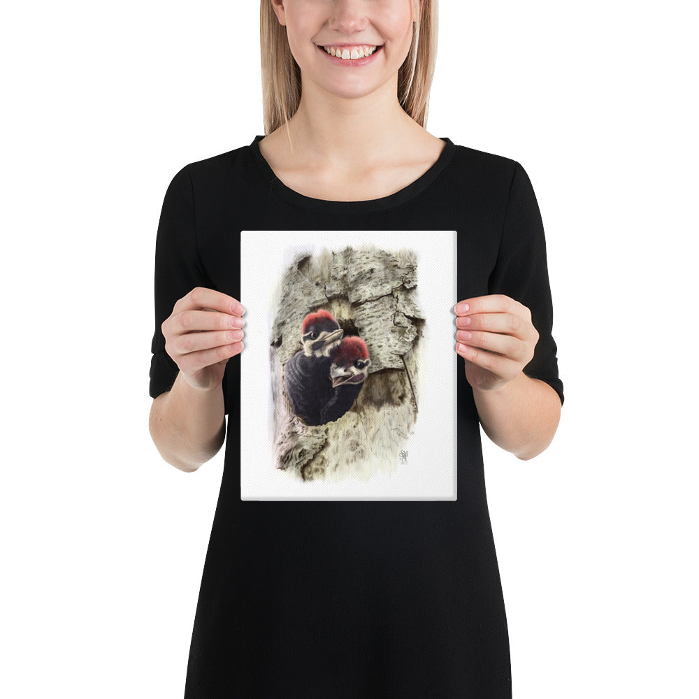 Person holding 8x10 inch gallery-wrapped canvas of Two at the Door illustration of Pileated Woodpeckers to show relative size. Illustrated by Suzanne Matheson, 2017.