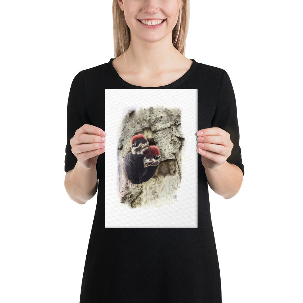 Person holding 8x12 inch gallery-wrapped canvas of Two at the Door illustration of Pileated Woodpeckers to show relative size. Illustrated by Suzanne Matheson, 2017.
