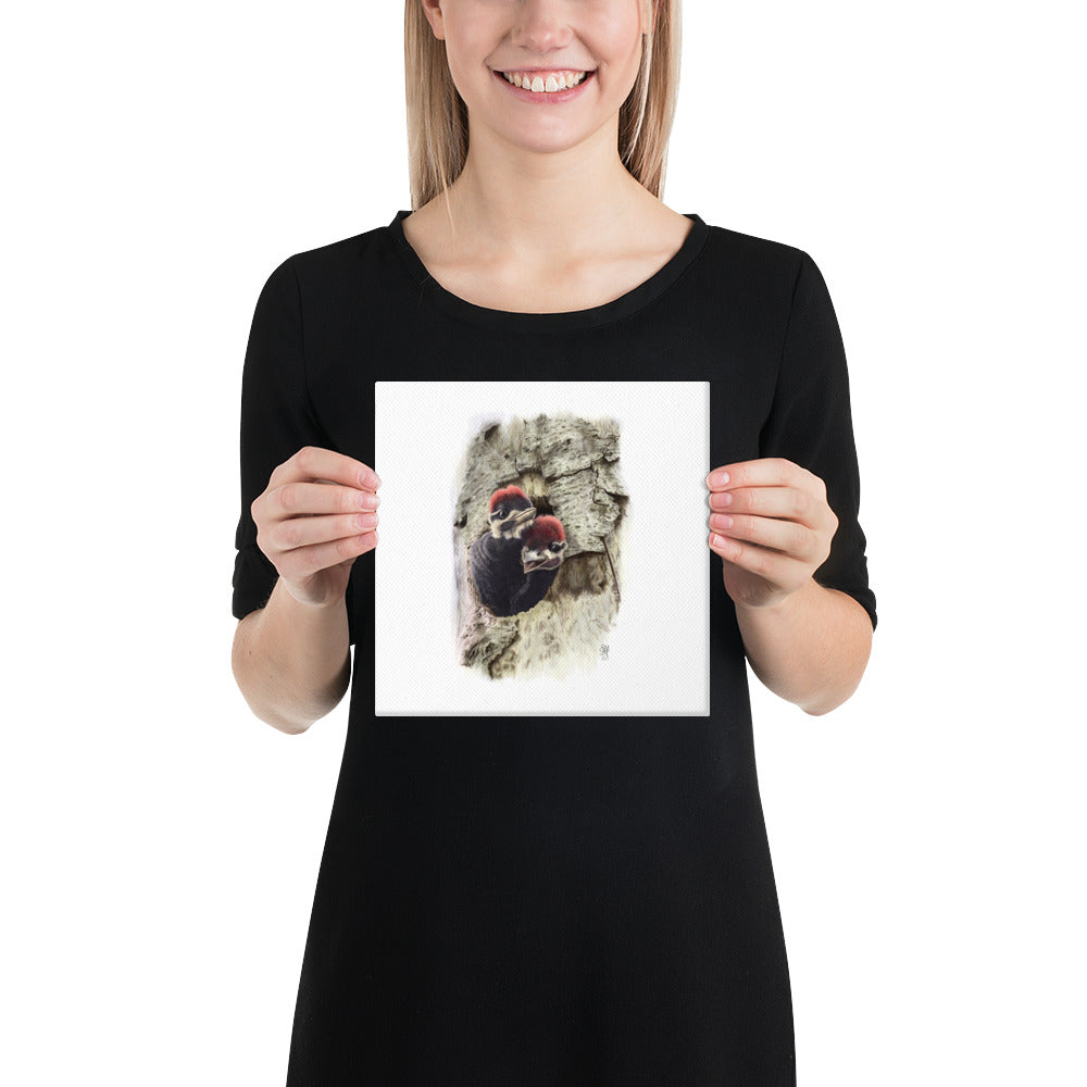 Person holding 8x8 inch gallery-wrapped canvas of Two at the Door illustration of Pileated Woodpeckers to show relative size. Illustrated by Suzanne Matheson, 2017.