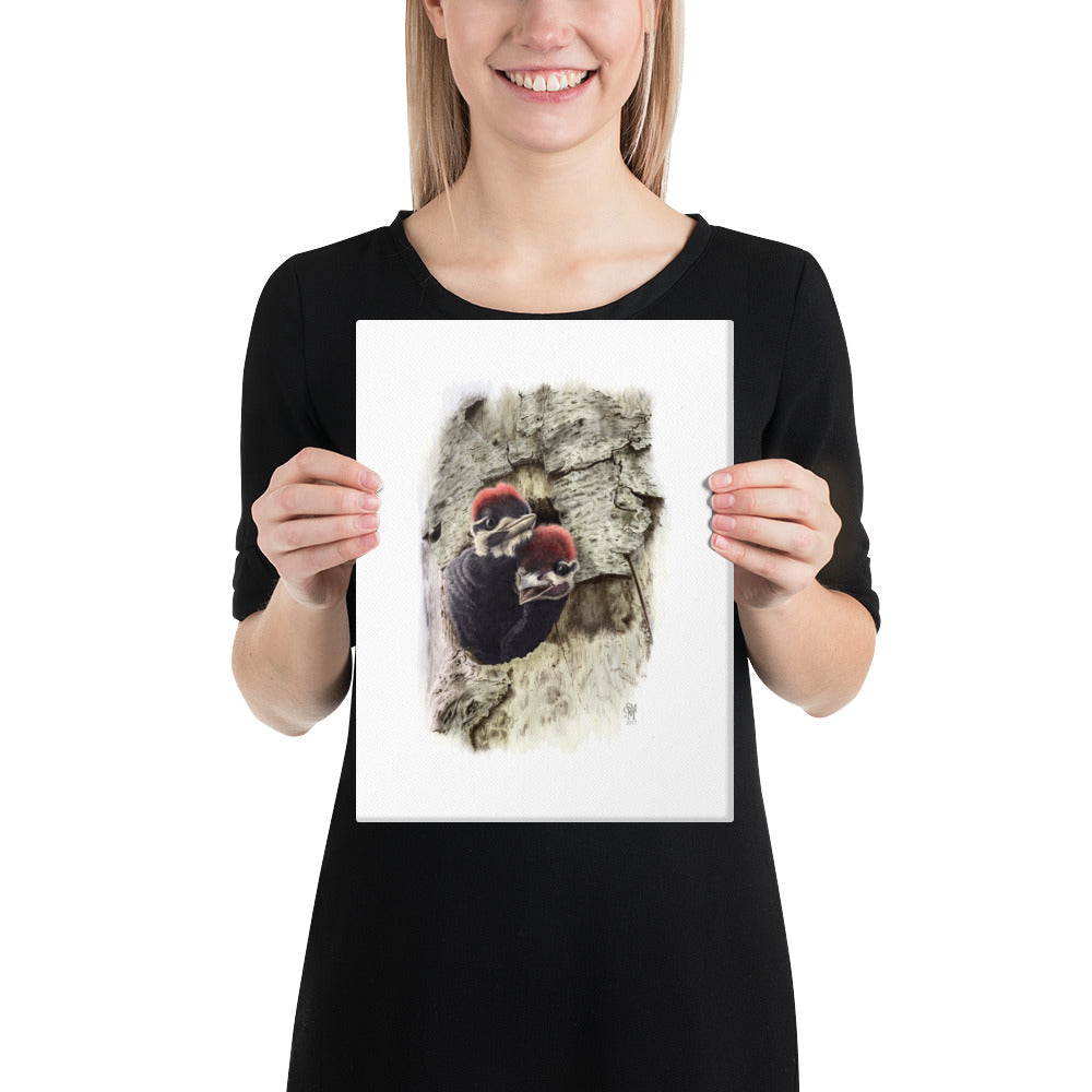 Person holding 9x12 inch gallery-wrapped canvas of Two at the Door illustration of Pileated Woodpeckers to show relative size. Illustrated by Suzanne Matheson, 2017.