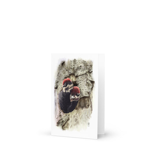 Product mockup of 4x6 card, Two at the Door, standing open. Depicts two nestling Pileated Woodpeckers crowding at their nest cavity entrance.  Illustrated by Suzanne Matheson, 2017.