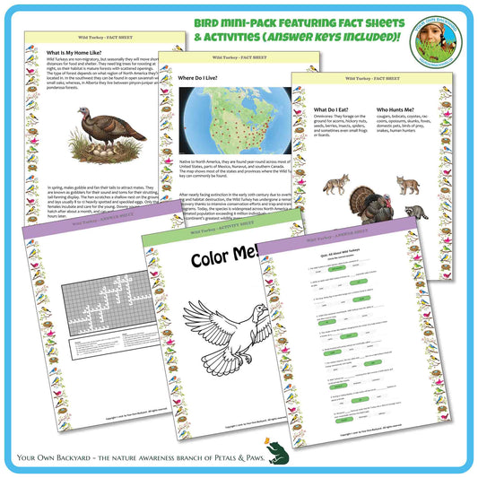 Internal pages of, 'All About Birds - the Wild Turkey' downloadable PDF product, an elementary-level unit by Your Own Backyard | Petals & Paws. Pages include natural history fact sheets and various printable worksheets.