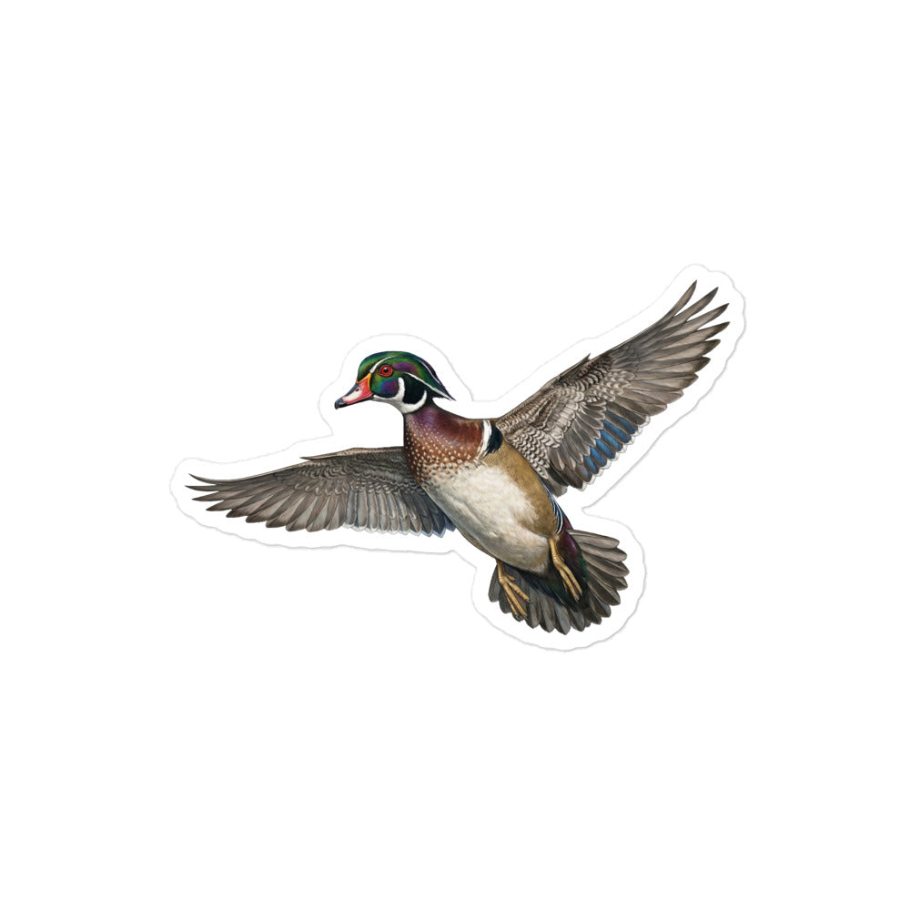 Wood Duck Stickers