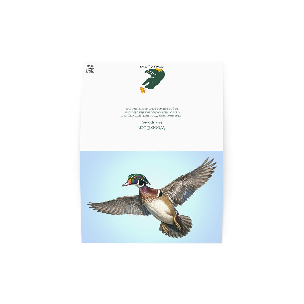 The Wood Duck Greeting Card, open, showing front and back. The front features a realistic duck flying against a clear blue sky. The back features interesting fact and Petals & Paws logo.
