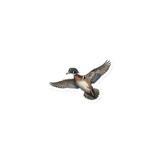Product mockup of 3" Wood Duck Die-cut Magnet, featuring a cut-to-form, realistic flying duck die-cut magnet.