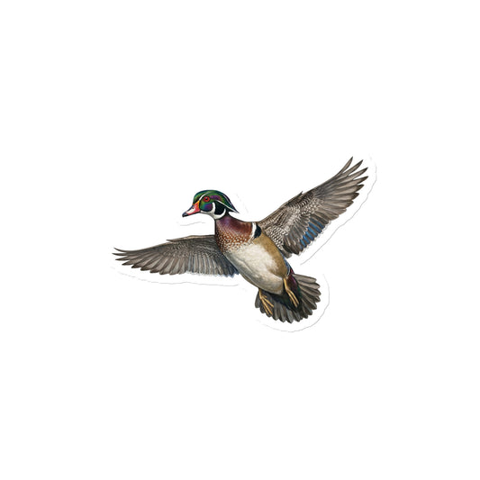 Product mockup of 4" Wood Duck Die-cut Magnet, featuring a cut-to-form, realistic flying duck die-cut magnet.