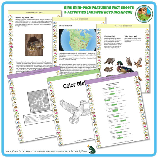 Internal pages of, 'All About Birds - the Wood Duck' downloadable PDF product, an elementary-level unit by Your Own Backyard | Petals & Paws. Pages include natural history fact sheets and various printable worksheets.